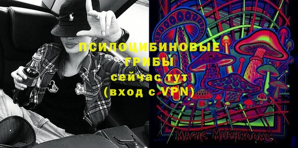 ПСИЛОЦИБИНОВЫЕ ГРИБЫ Иннополис