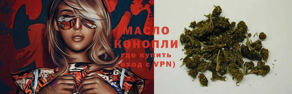 гашик Инсар