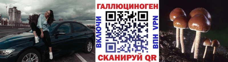Псилоцибиновые грибы прущие грибы  Купить  Красково 